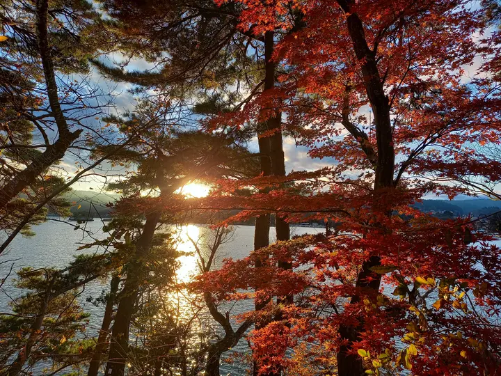 🌸 Best 5 Things to Do in Sendai – Gateway to Tohoku, Japan